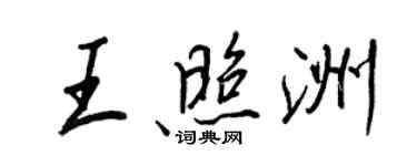 王正良王照洲行書個性簽名怎么寫