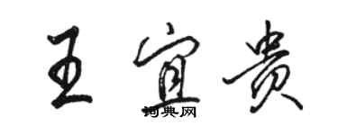 駱恆光王宜貴行書個性簽名怎么寫