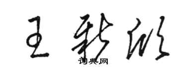 駱恆光王新欣草書個性簽名怎么寫