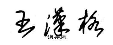 朱錫榮王漢格草書個性簽名怎么寫