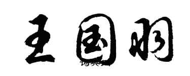 胡問遂王國羽行書個性簽名怎么寫