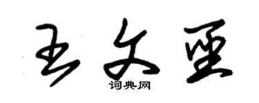 朱錫榮王文聖草書個性簽名怎么寫