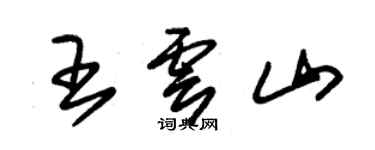 朱錫榮王雲山草書個性簽名怎么寫