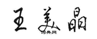 駱恆光王美晶行書個性簽名怎么寫