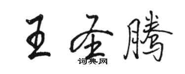 駱恆光王聖騰行書個性簽名怎么寫