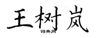 丁謙王樹嵐楷書個性簽名怎么寫