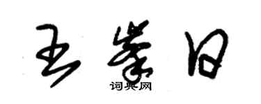 朱錫榮王峰日草書個性簽名怎么寫