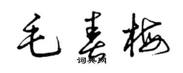 曾慶福毛春梅草書個性簽名怎么寫