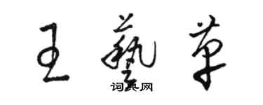 駱恆光王藝革草書個性簽名怎么寫