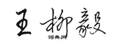 駱恆光王柳毅行書個性簽名怎么寫