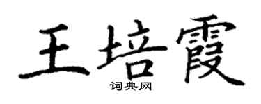 丁謙王培霞楷書個性簽名怎么寫