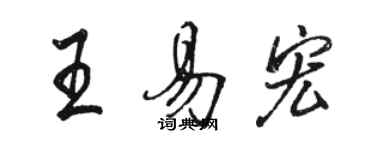 駱恆光王易宏行書個性簽名怎么寫