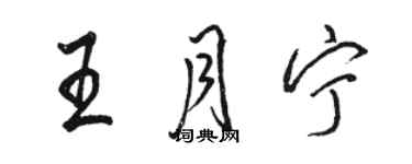 駱恆光王月寧行書個性簽名怎么寫