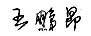 朱錫榮王鵬昂草書個性簽名怎么寫