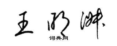 梁錦英王明淑草書個性簽名怎么寫