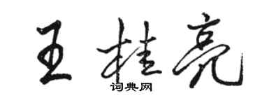 駱恆光王桂亮行書個性簽名怎么寫