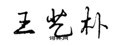 曾慶福王藝朴行書個性簽名怎么寫