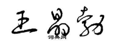 曾慶福王晶勃草書個性簽名怎么寫