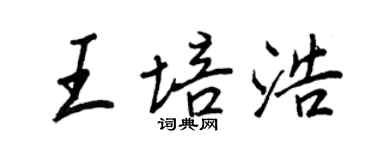 王正良王培浩行書個性簽名怎么寫