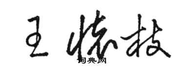 駱恆光王懷枝草書個性簽名怎么寫