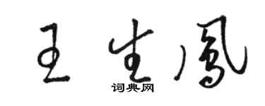 駱恆光王生鳳草書個性簽名怎么寫
