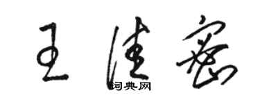 駱恆光王佳密草書個性簽名怎么寫