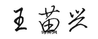 駱恆光王苗興行書個性簽名怎么寫