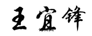 胡問遂王宜鋒行書個性簽名怎么寫