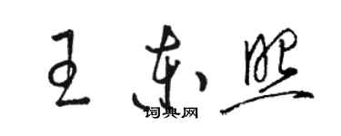 駱恆光王東照草書個性簽名怎么寫