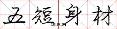 龐中華五短身材行書怎么寫