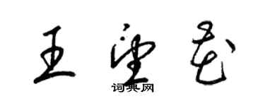 梁錦英王望花草書個性簽名怎么寫