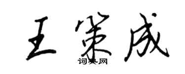 王正良王策成行書個性簽名怎么寫