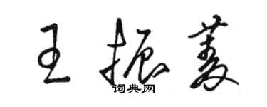 駱恆光王振菱草書個性簽名怎么寫