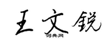 王正良王文銳行書個性簽名怎么寫