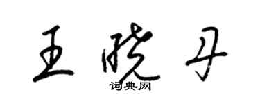 梁錦英王曉丹草書個性簽名怎么寫