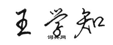 駱恆光王學知行書個性簽名怎么寫