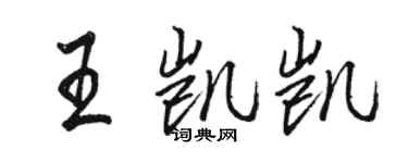 駱恆光王凱凱行書個性簽名怎么寫