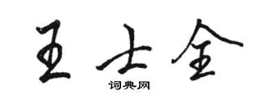 駱恆光王士全行書個性簽名怎么寫