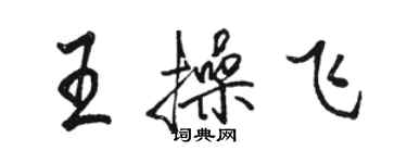 駱恆光王操飛行書個性簽名怎么寫