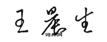 駱恆光王晨生草書個性簽名怎么寫