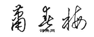 駱恆光蕭春梅草書個性簽名怎么寫