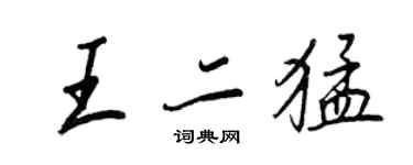 王正良王二猛行書個性簽名怎么寫