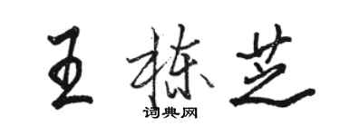 駱恆光王棟芝行書個性簽名怎么寫