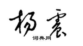 梁錦英楊震草書個性簽名怎么寫