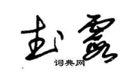 朱錫榮武霞草書個性簽名怎么寫
