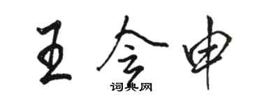 駱恆光王會申行書個性簽名怎么寫