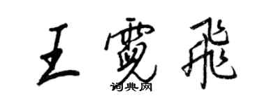 王正良王霓飛行書個性簽名怎么寫