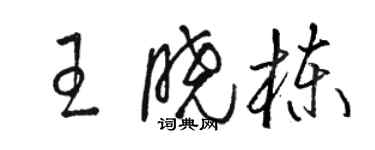 駱恆光王曉棟草書個性簽名怎么寫