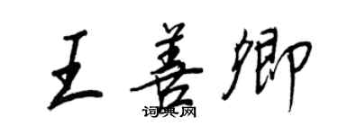 王正良王善卿行書個性簽名怎么寫