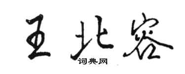 駱恆光王北容行書個性簽名怎么寫